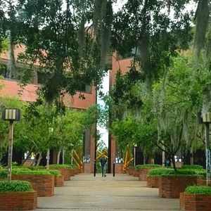 Meet your Posher, Abigail